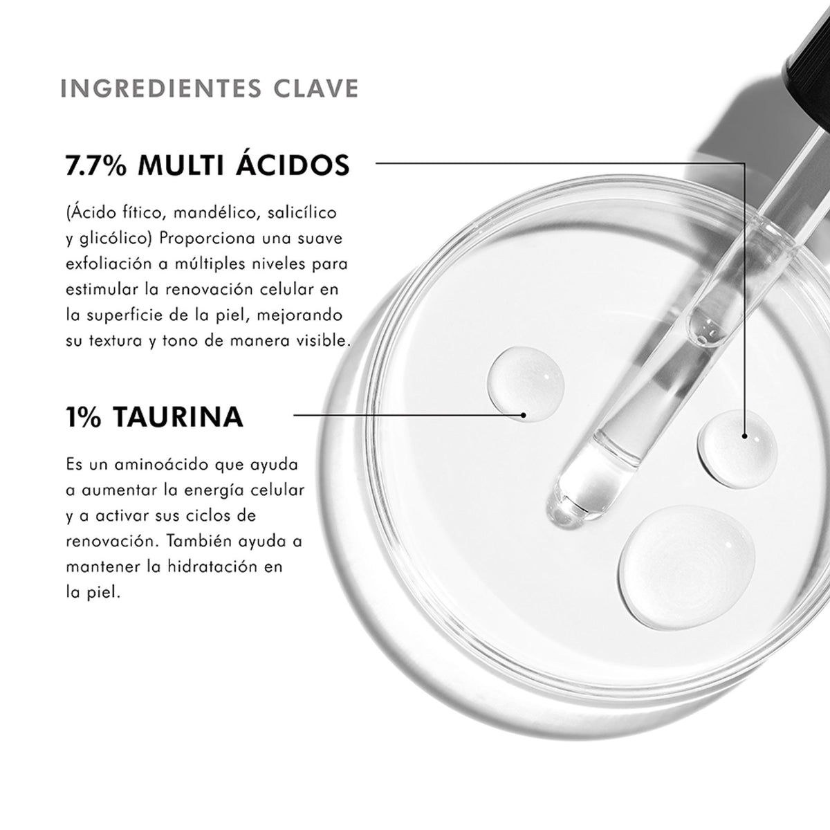 Cell Cycle Catalyst, textura